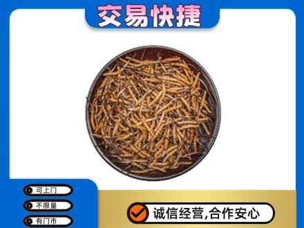 伽师县高价回收散虫草